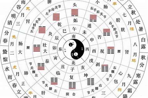 壬癸席|天干地支五行对照表